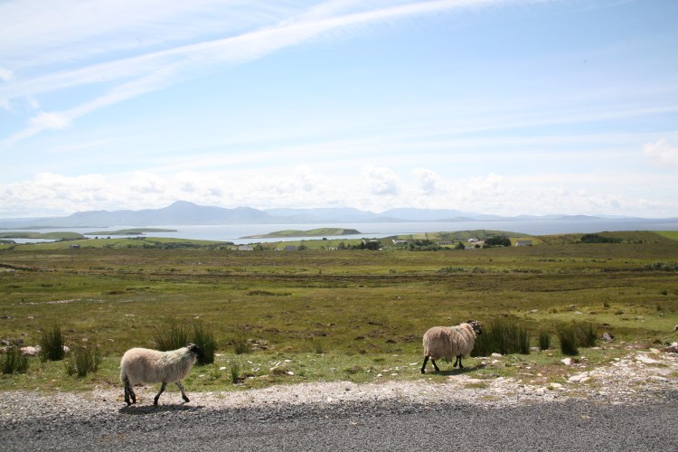 Nearing the Top of The Green Way